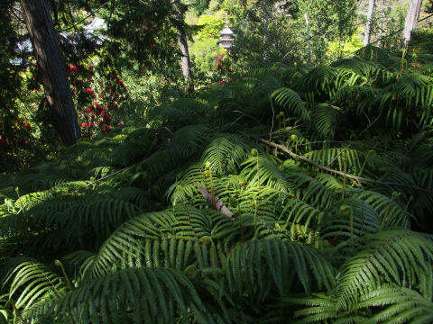 ちょっとした山登り