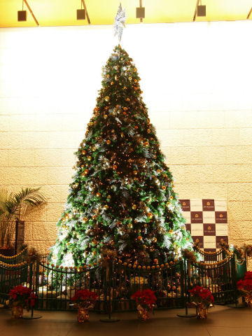 イルミネーションではないかな