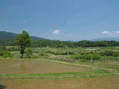 忙しそうなので分け入れない