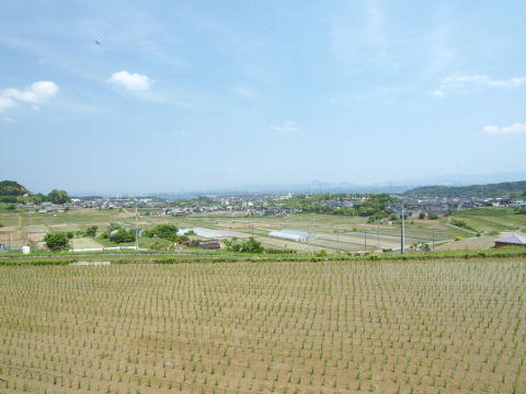 もっと水を張って