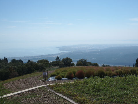 南側は逆光につき