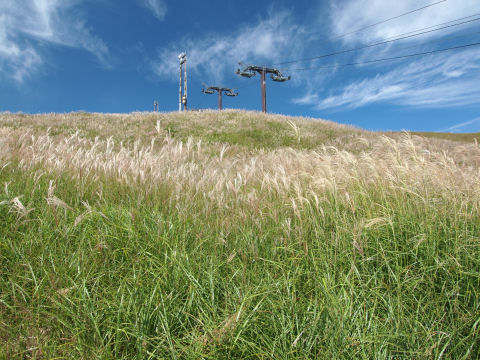 リフトを含めた構図はたくさん撮れた