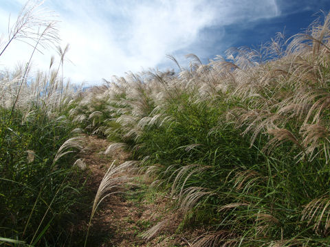 中からの光景は微妙だね