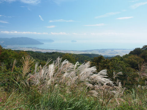 ススキと琵琶湖