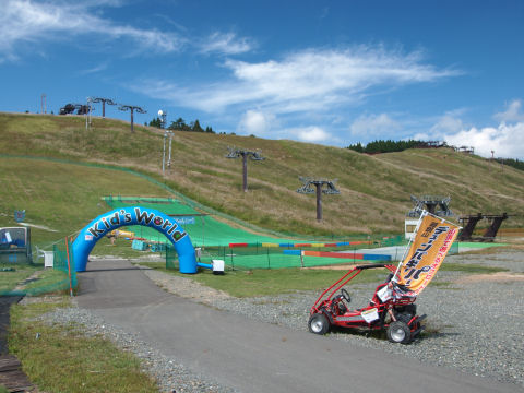 ゴーカートは乗ってみたい