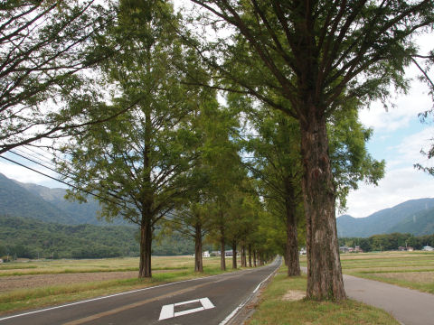 今回はここから