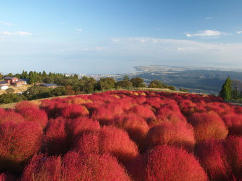 前回は逆光だったアングル 琵琶湖がくっきり