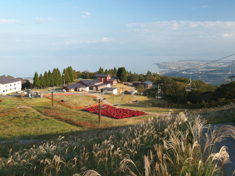 わずかにススキ