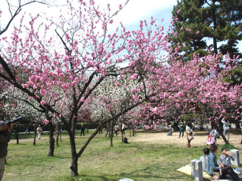 ここは人だらけ