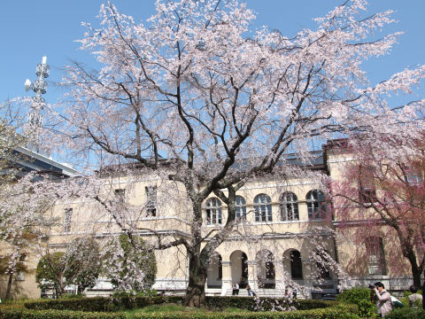 茶会やったり絵を描いたり