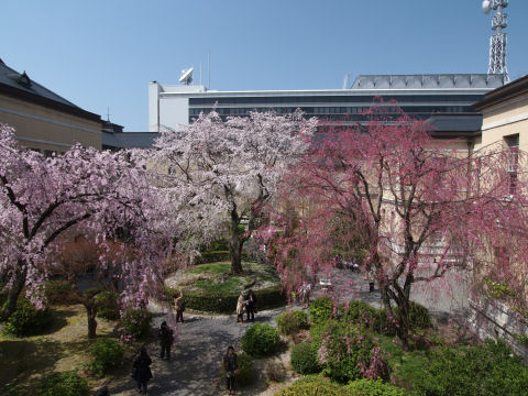 パラボラアンテナが目を引く