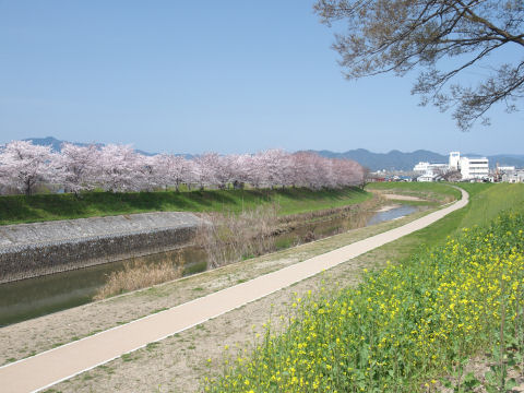 ここもそのうち名所になるのかも