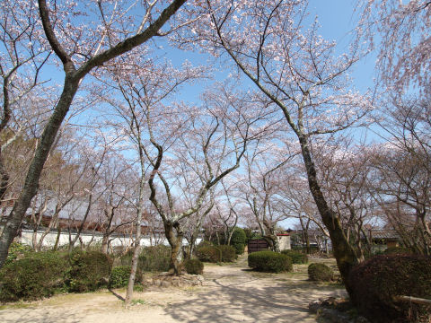 お蔭で人少なし