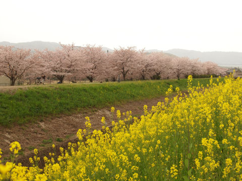 昔は通勤路だったのでよくチェックした