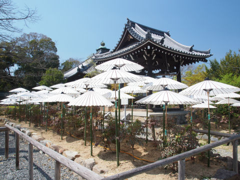 真ん中へんはセットアップ完了