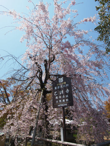 トラックがあったためアングルが制限された