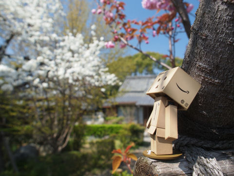 何見てるかわからん