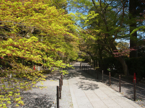 なので人がいないタイミングを待つ