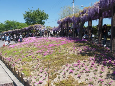 帰りがけの撮影