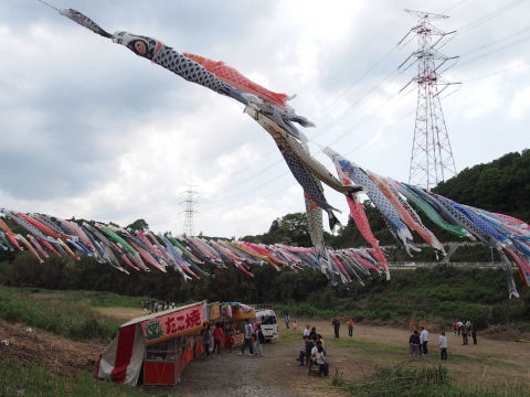 250匹いるそうな