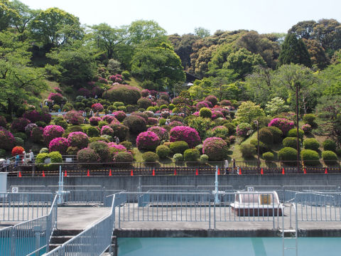 一番下のため池から