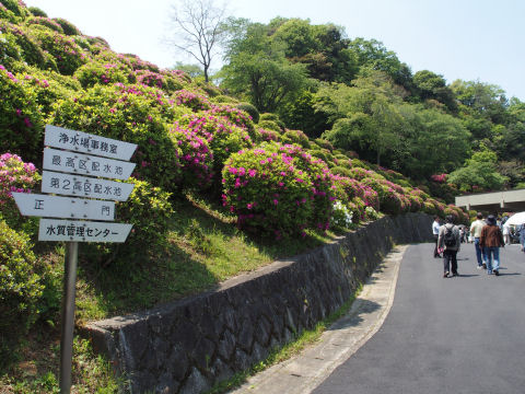 1回折り返したあたり