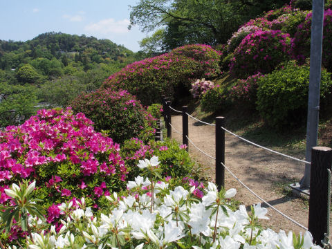 トンネルメイン