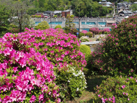 下のため池を望む