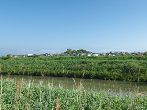 神事養殖場へ流れる葉山川