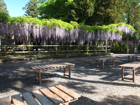 昼ごろには椅子が埋まるのだろうか