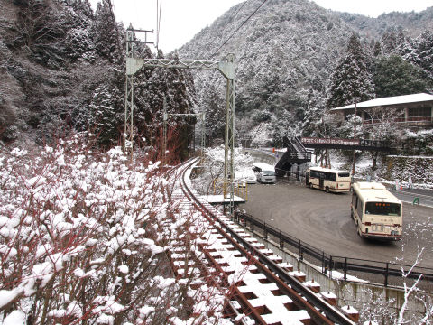 バス停が出来た