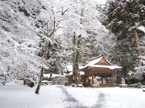 よくよく見ればりっぱな樹氷だ