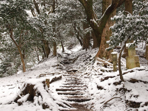 土はぬかるみがあるが・・・