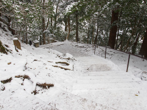 前回来たときは固まっていなかった