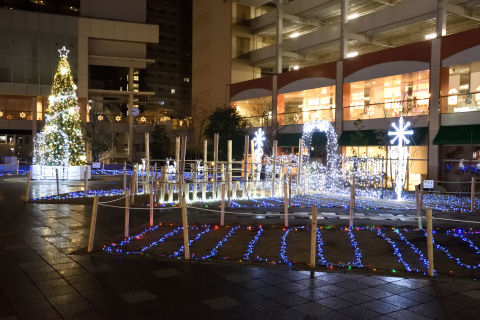 今年の新しいオブジェ