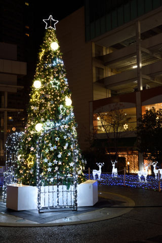 七夕よろしく星形の紙に願いが書かれている