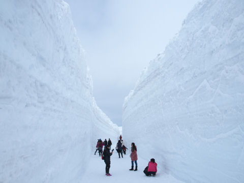 靴の対策しないと滑る