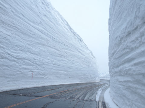 人が通れないところ