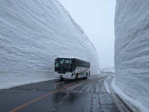 バス3つ分くらいの高さ？