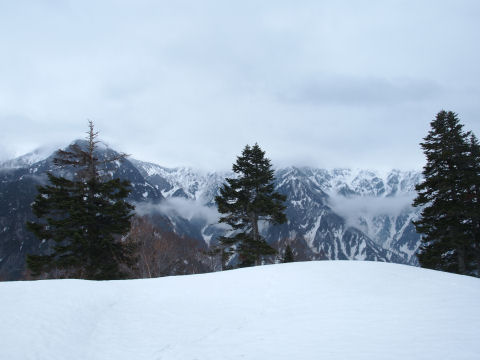 意外と地肌が見えるもんだ