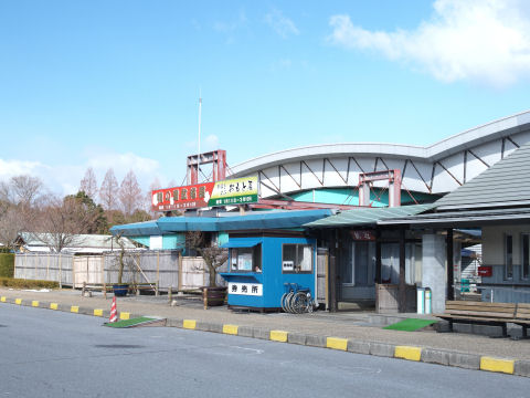 なぜ咲いてない梅を飾るのか