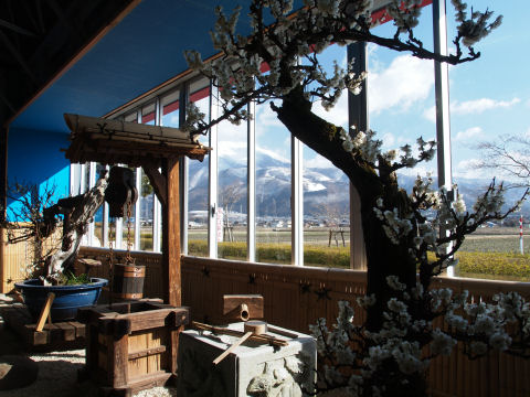 回りのアイテムはなんだろ