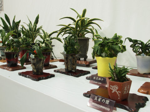 若干アップ気味で