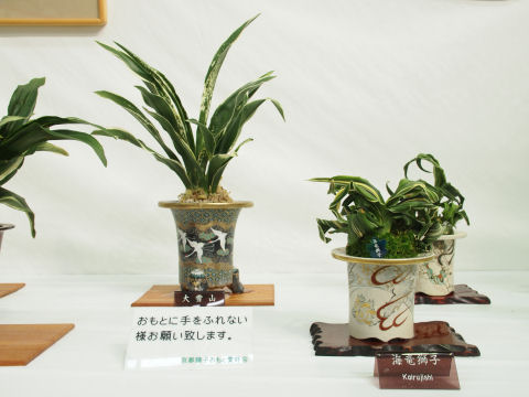 強うそうな名前