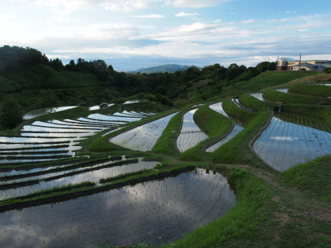 右側に見えるのは千早赤阪村立中学校