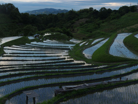 富田林方向のズーム