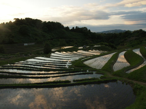 そんなに急に赤く染まるわけではない