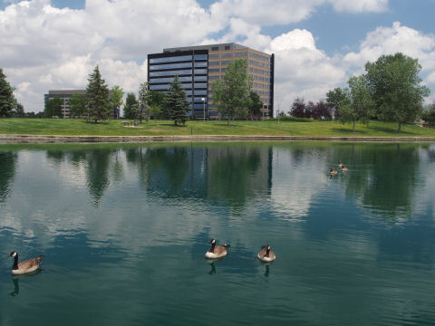 ごめんエサとかない