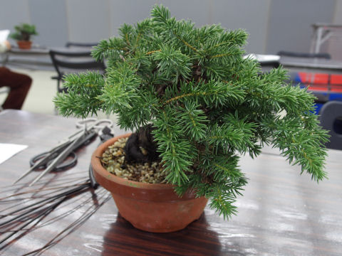 どれがよいのかわからん