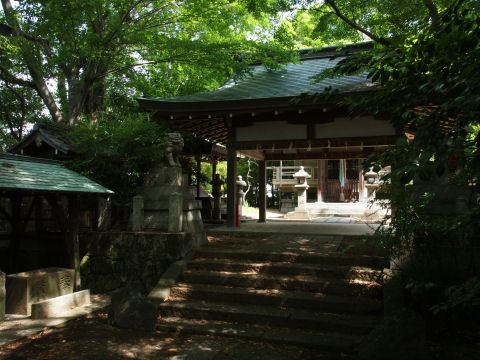 ひっそりというかうっそうというか